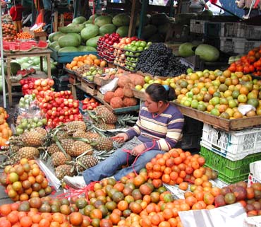 Erfahrungsbericht Sprachrundreise Ecuador Erfahrungsbericht Sprachrundreise Ecuador