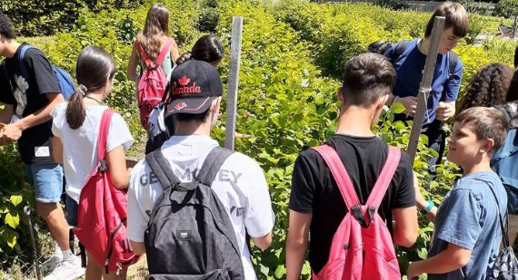 Familiensprachreise Englisch Toronto Kanada Familiensprachreise Englisch Toronto Kanada