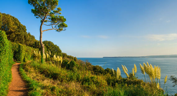 Familiensprachreisen Sprachreisen Englisch Südengland Torquay Torbay Devon Strand