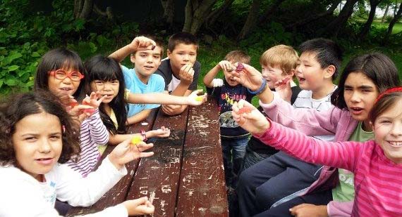 Familien Sprachreise Englisch Irland Galway Familien Sprachreise Englisch Irland Galway