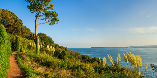 Bildungsurlaub Torquay Süden England