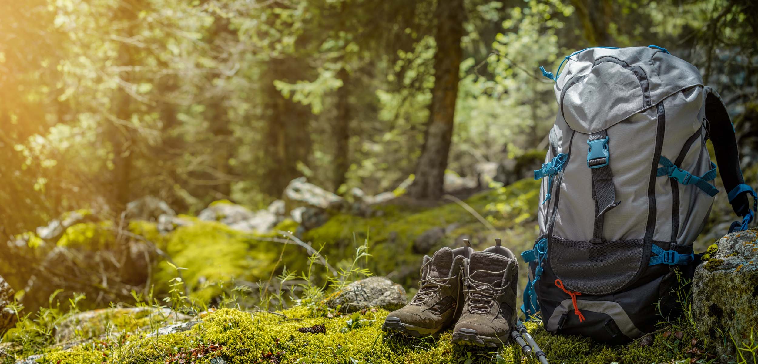 Nachhaltig Reisen - Interview