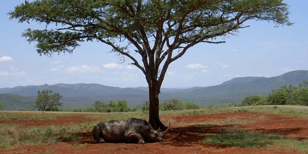 Sprachrundreise Suedafrika Sprachrundreise Suedafrika