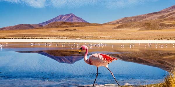 Sprachrundreise Bolivien Sprachrundreise Bolivien