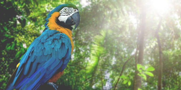 Sprachrundreise Costa Rica Nicaragua Sprachrundreise Costa Rica Nicaragua