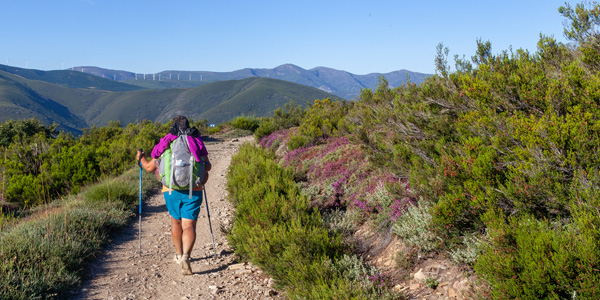 Sprachrundreise Jakobsweg