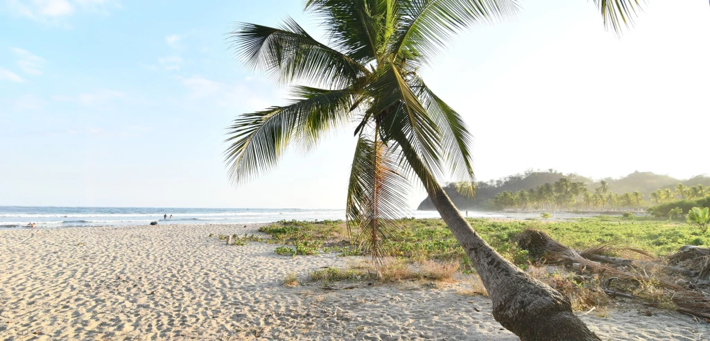 Sprachkurs Samara, Costa Rica