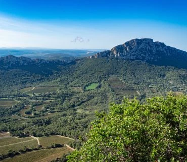 Montpellier Sprachreise Frankreich Montpellier Sprachreise Frankreich